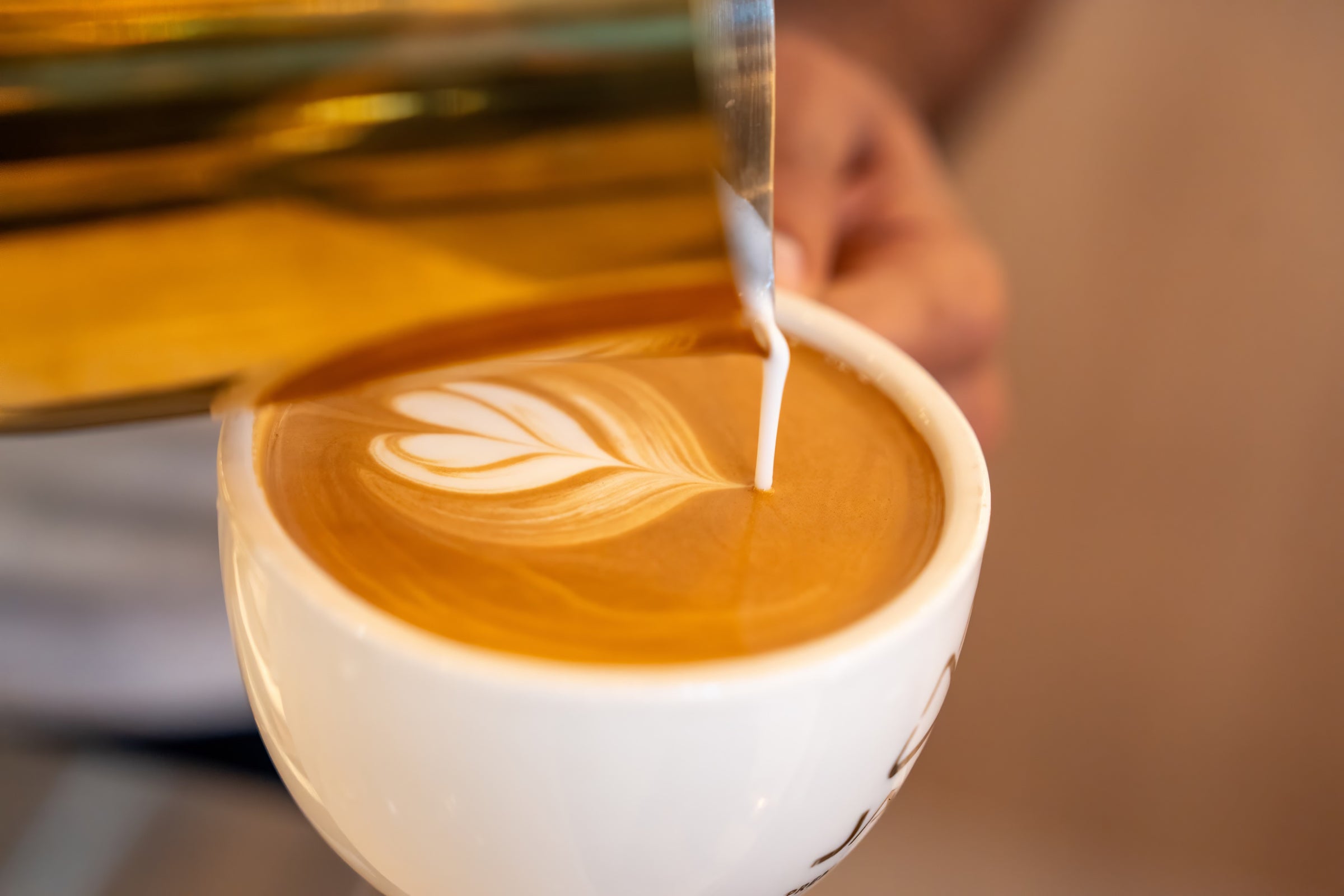 Caffe Jabal Roso Jabal Coffee House . Premium Yemeni Coffee